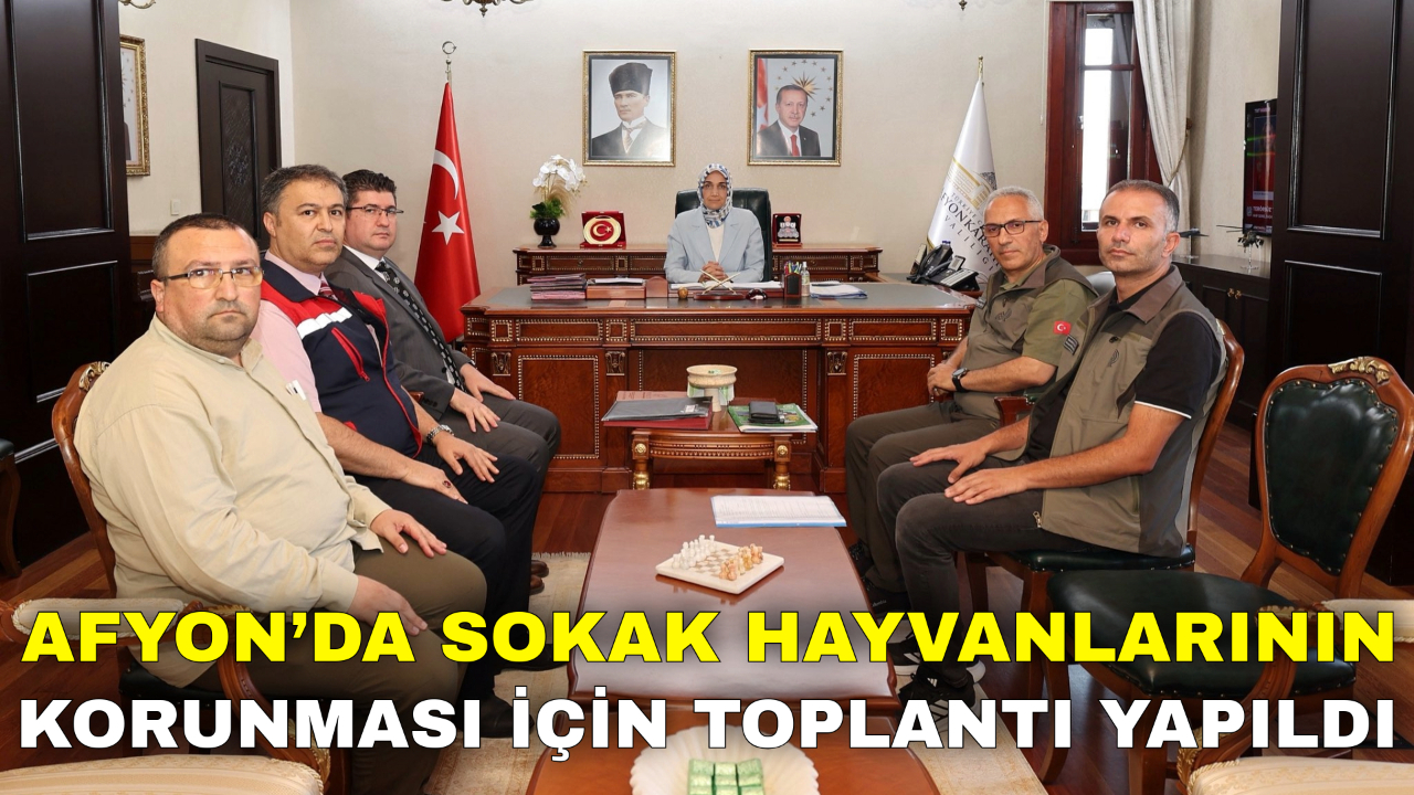 Afyon’da Sokak Hayvanlarının Korunması İçin Toplantı Yapıldı