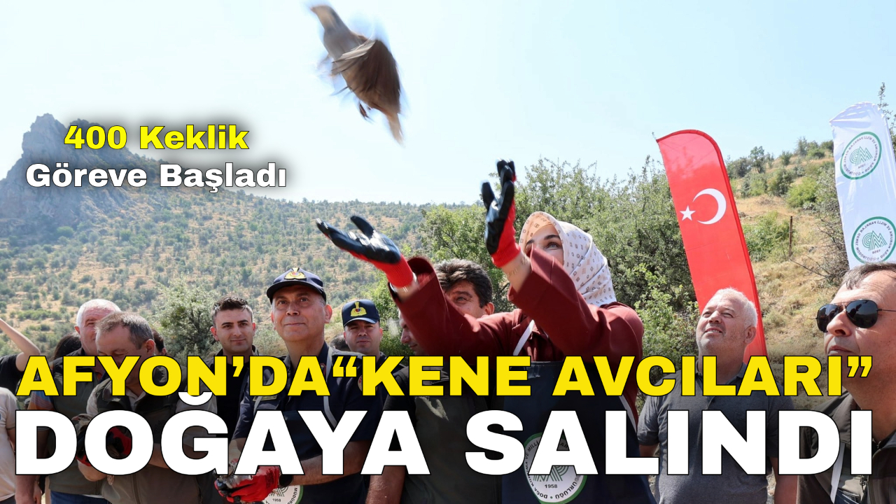 Afyon’da “Kene Avcıları” Doğaya Salındı: 400 Keklik Göreve Başladı