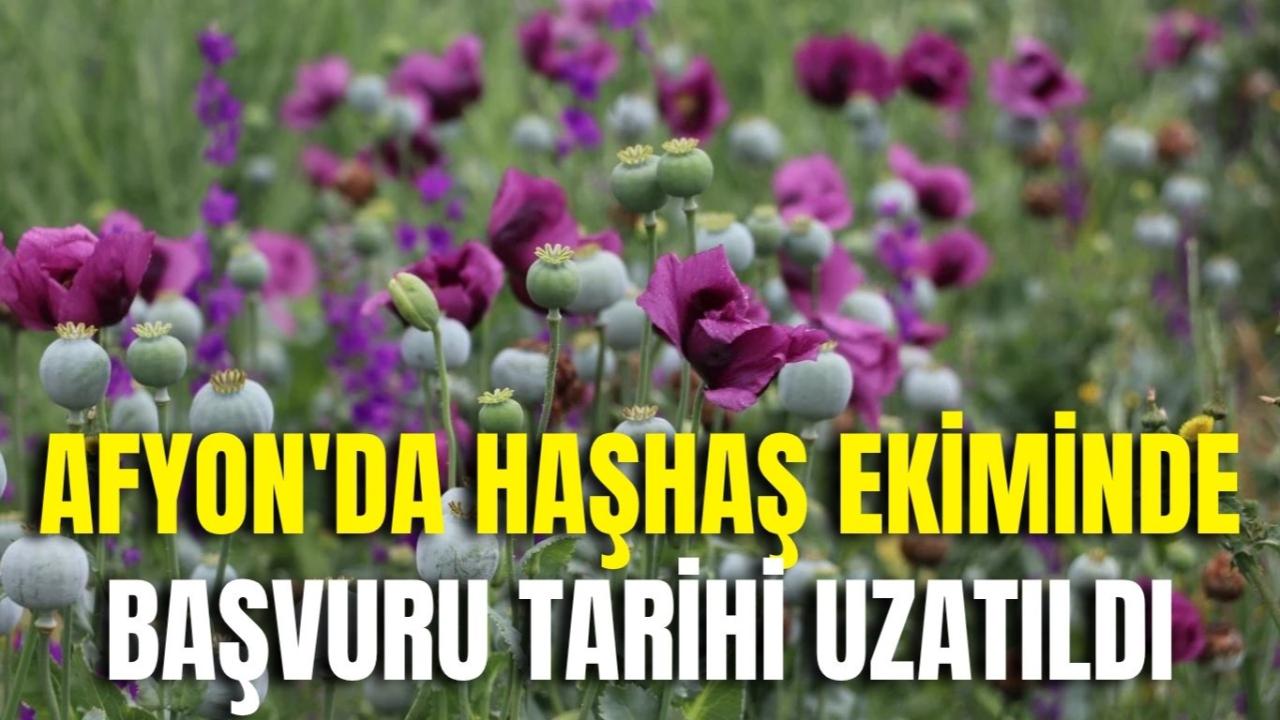 Haşhaş Ekim Başvuru Tarihi Uzatıldı