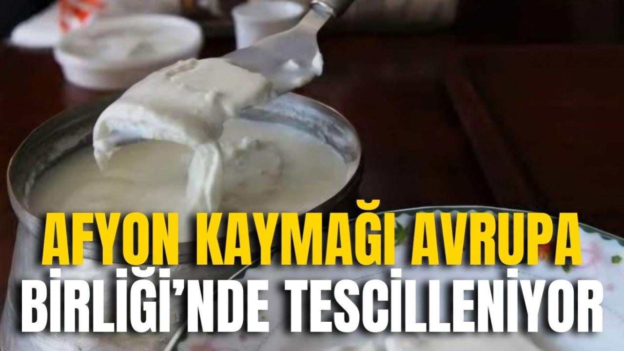 Otomatik Taslak