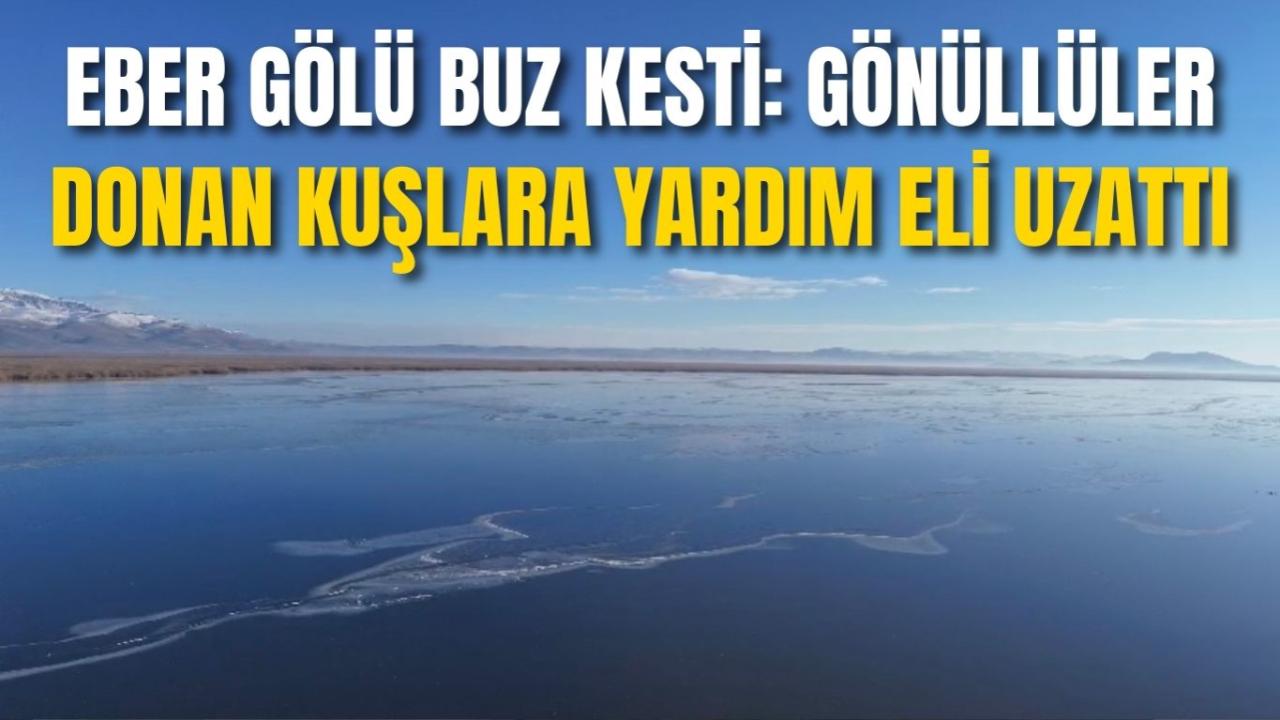 Eber Gölü Buz Kesti: Gönüllüler Donan Kuşlara Yardım Eli Uzattı