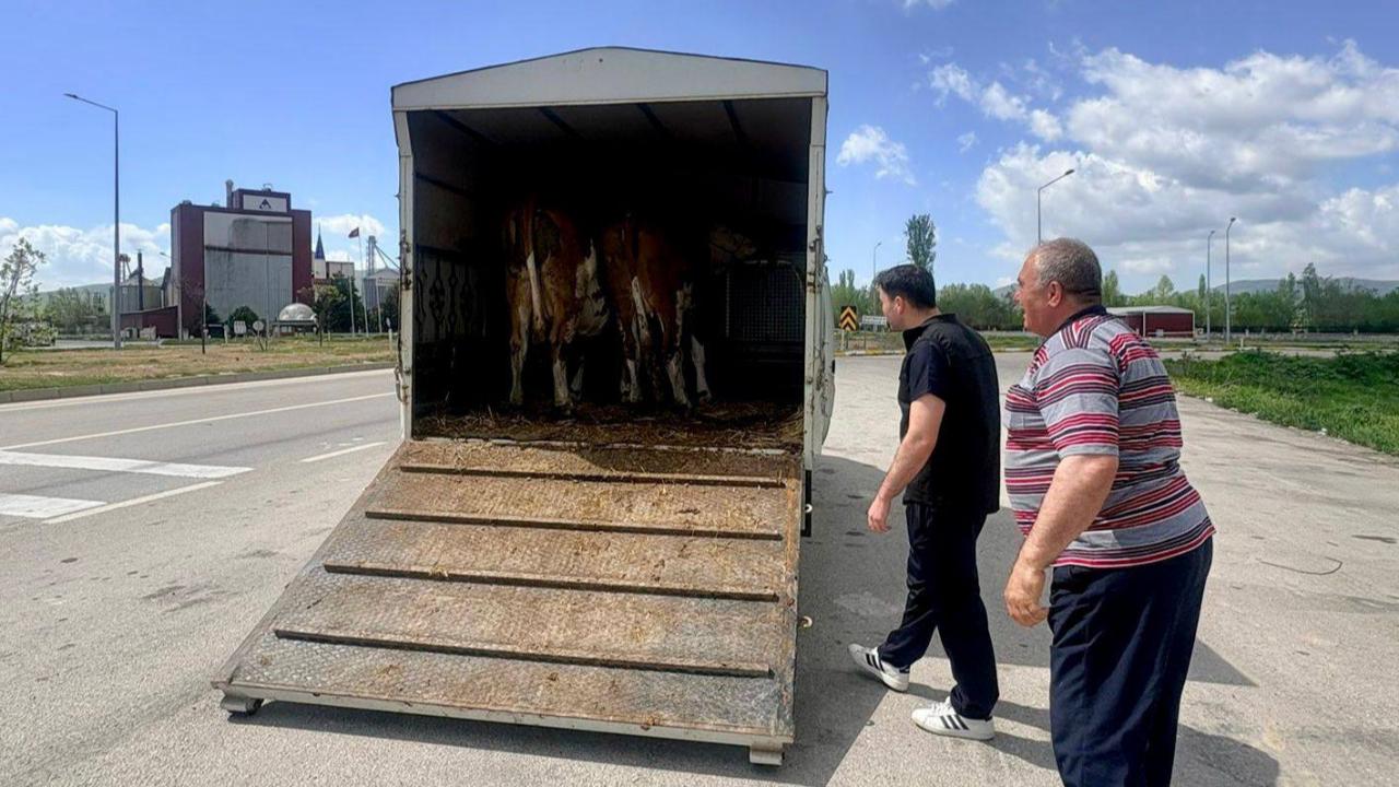 Afyon’da Kurban Bayramı Öncesi Canlı Hayvanlara Yönelik Denetimler Artırıldı