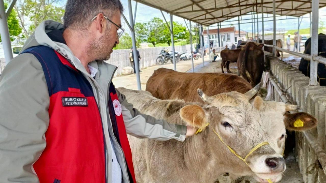 Afyon’da Kurbanlık Pazarlarında Denetimler Sıkılaştırıldı