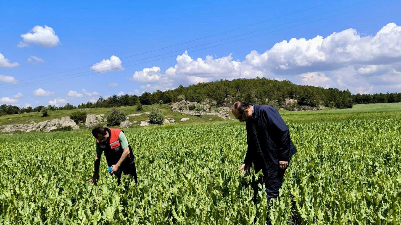 Afyon’da Arazi Kontrolleri ve Ürün Doğrulama Çalışmaları Devam Ediyor
