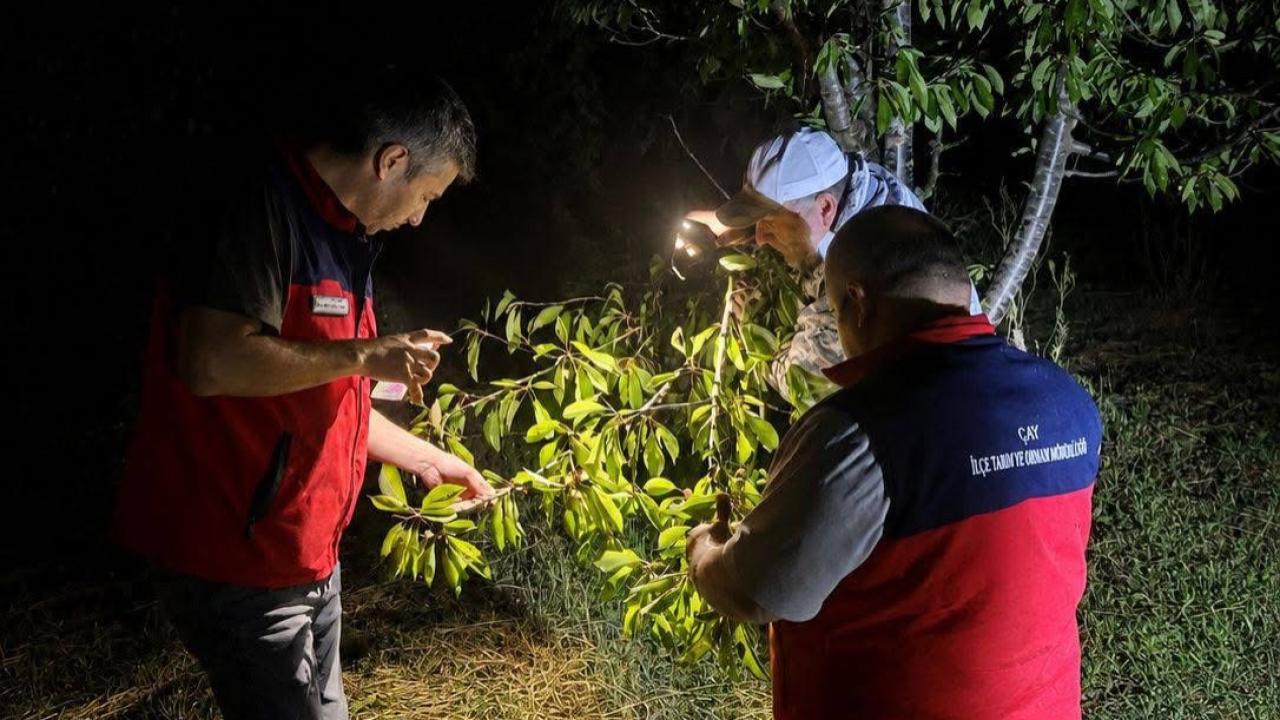 Afyon’da Yağışların Ardından Tarım Arazilerinde Ön İnceleme Başladı