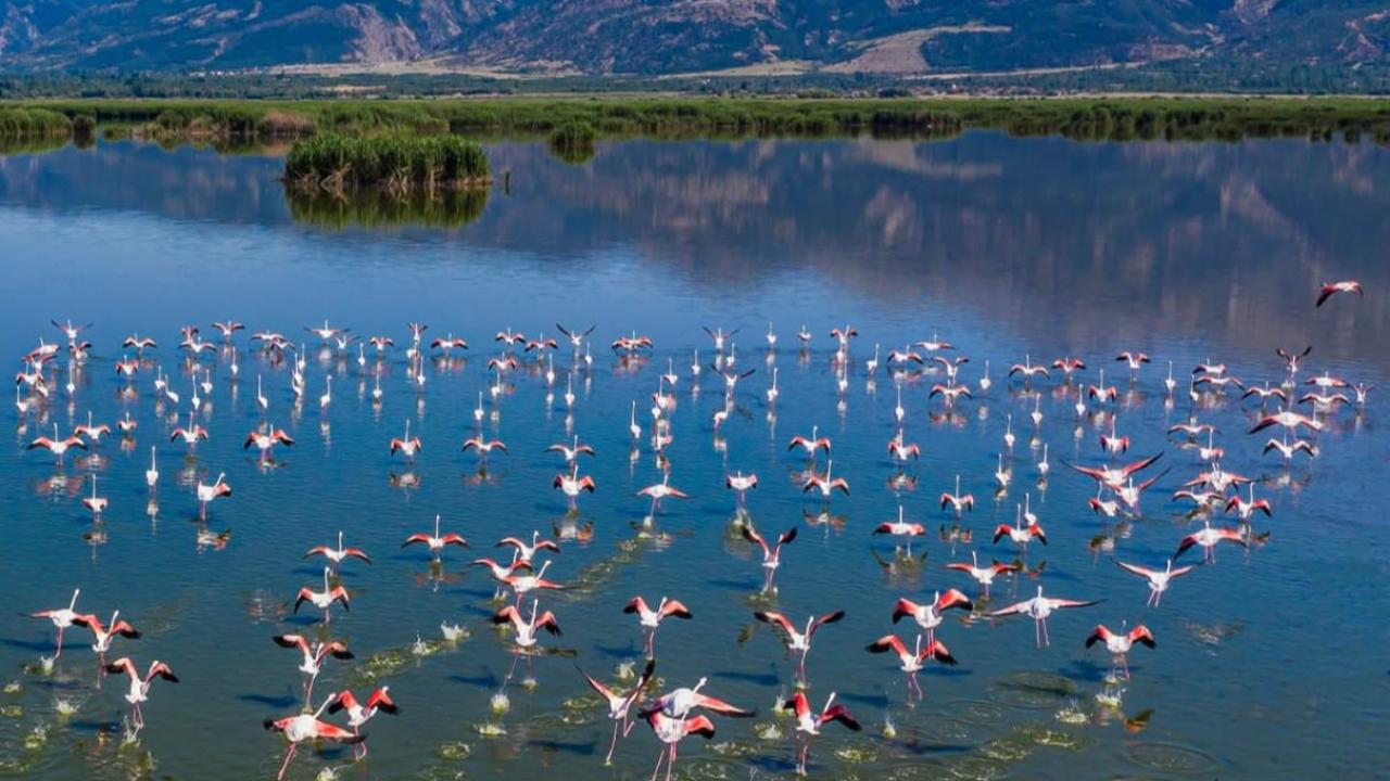 Eber Gölü'nün Yeniden Canlanışı Objektiflere Yansıdı
