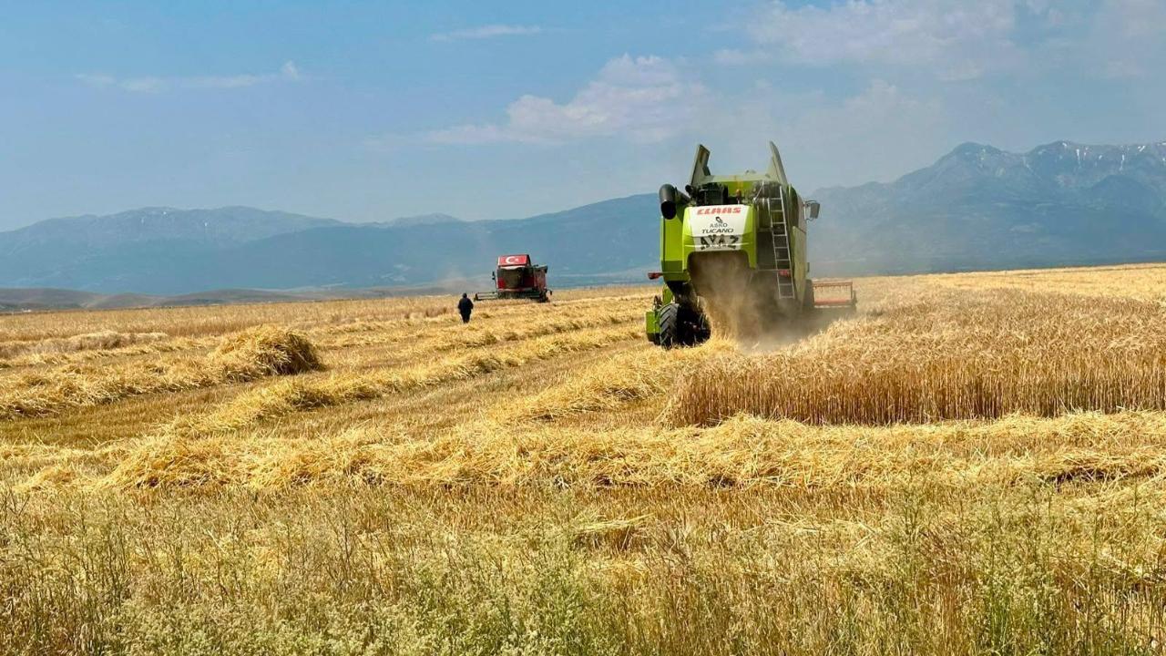 Afyon'da Hububat Hasadı Tüm Hızıyla Sürüyor