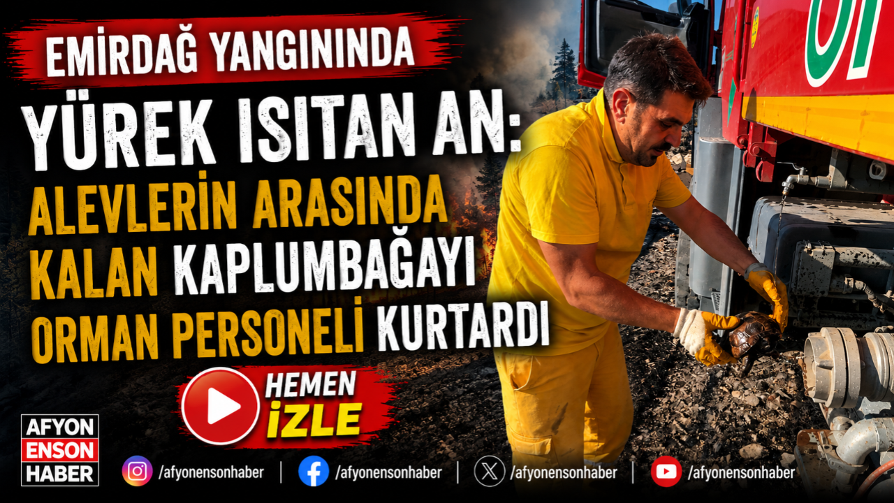 Emirdağ Yangınında Yürek Isıtan An: Alevlerin Arasında Kalan Kaplumbağayı Orman Personeli Kurtardı