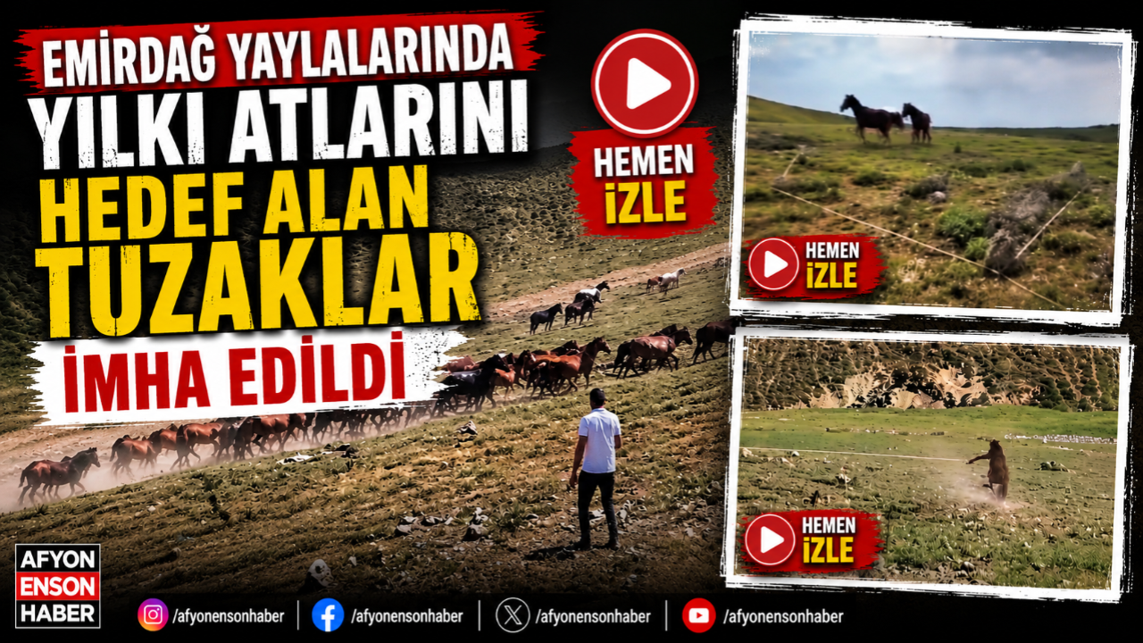 Emirdağ Yaylalarında Yılkı Atlarını Hedef Alan Tuzaklar İmha Edildi