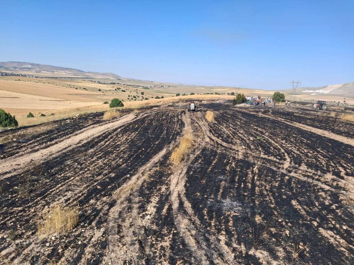 Afyon Emirdağ'da Arazi Yangını Korkuttu: Alevler Kontrol Altına Alındı
