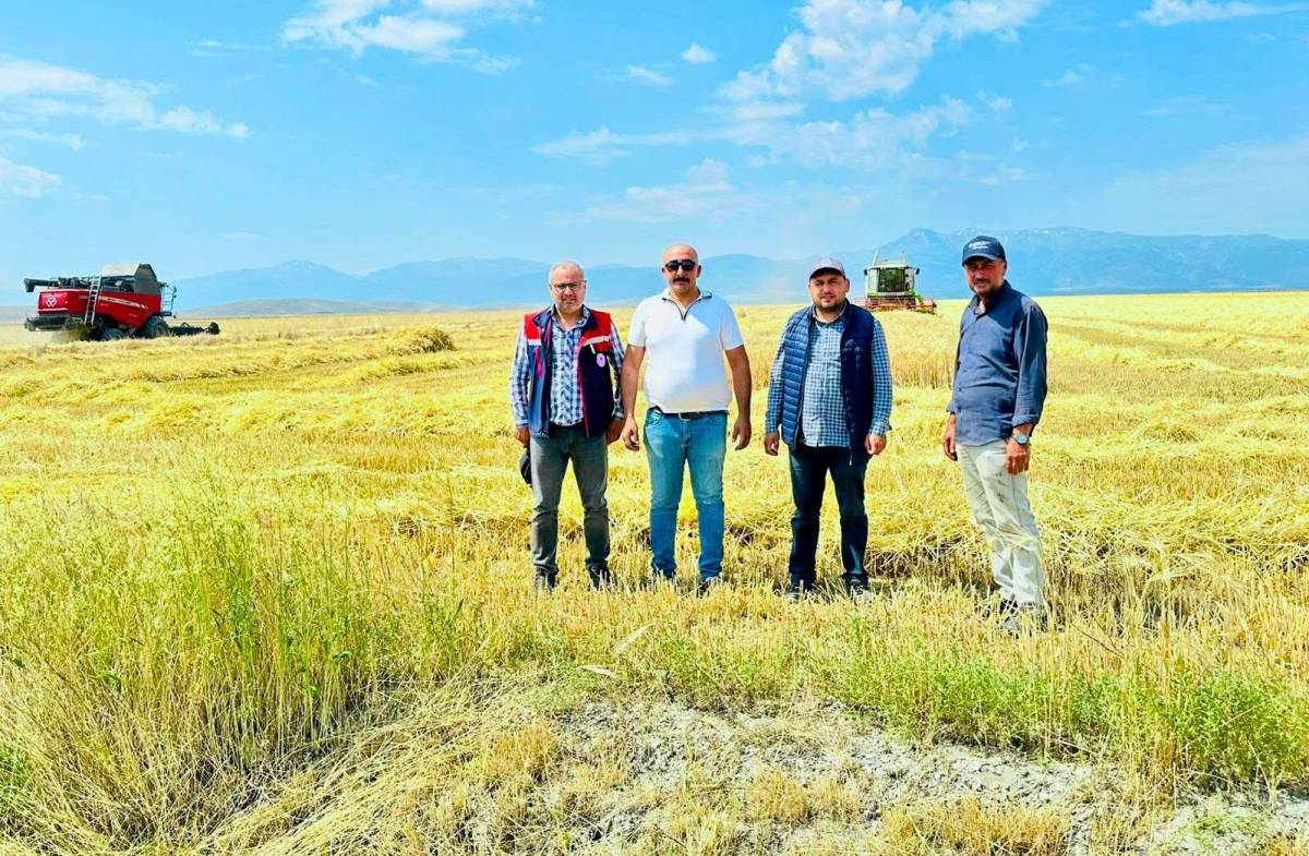Afyon'da Hububat Hasadı Tüm Hızıyla Sürüyor