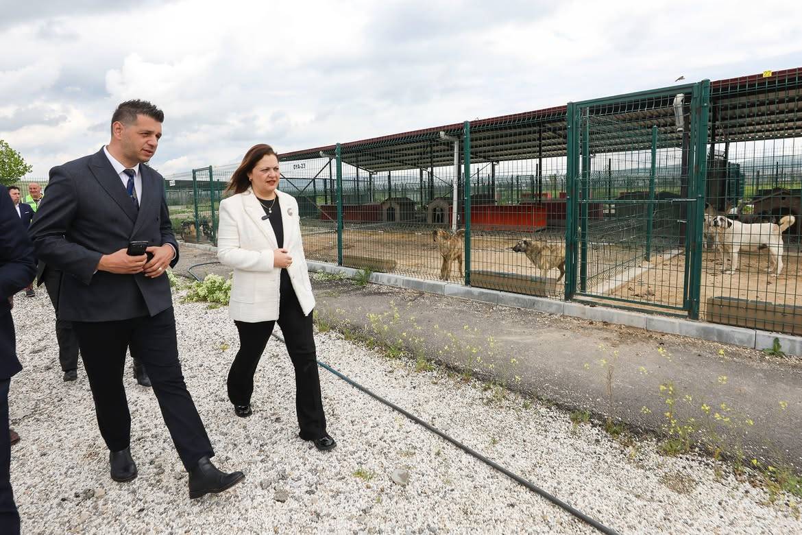 Afyonkarahisar Belediyesi Sokak Hayvanları Bakım ve Rehabilitasyon Merkezi Hizmete Giriyor
